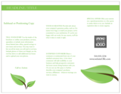 Green Leaves - brochures Maker