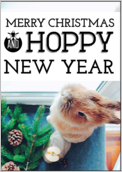 Hoppy Happy Holiday - greeting-cards Maker