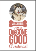 Doggone Christmas - greeting-cards Maker