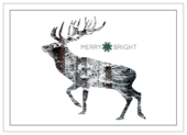 Snowy Reindeer - invitation-cards Maker