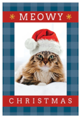 Meowy Christmas - invitation-cards Maker
