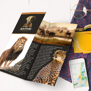 Tri-Fold Brochures - Full Color Glossy Tri-Fold Brochures (50 qty)