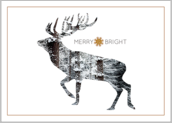 Snowy Reindeer - greeting-cards Maker