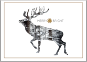 Snowy Reindeer - greeting-cards Maker