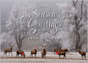 Seasons Greeting - greeting-cards Maker