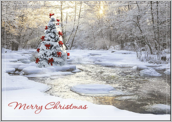 Merry Christmas Tree - greeting-cards Maker