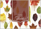 Autumn Leaves - greeting-cards Maker