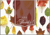 Autumn Leaves - greeting-cards Maker