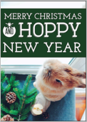Hoppy Happy Holiday - greeting-cards Maker