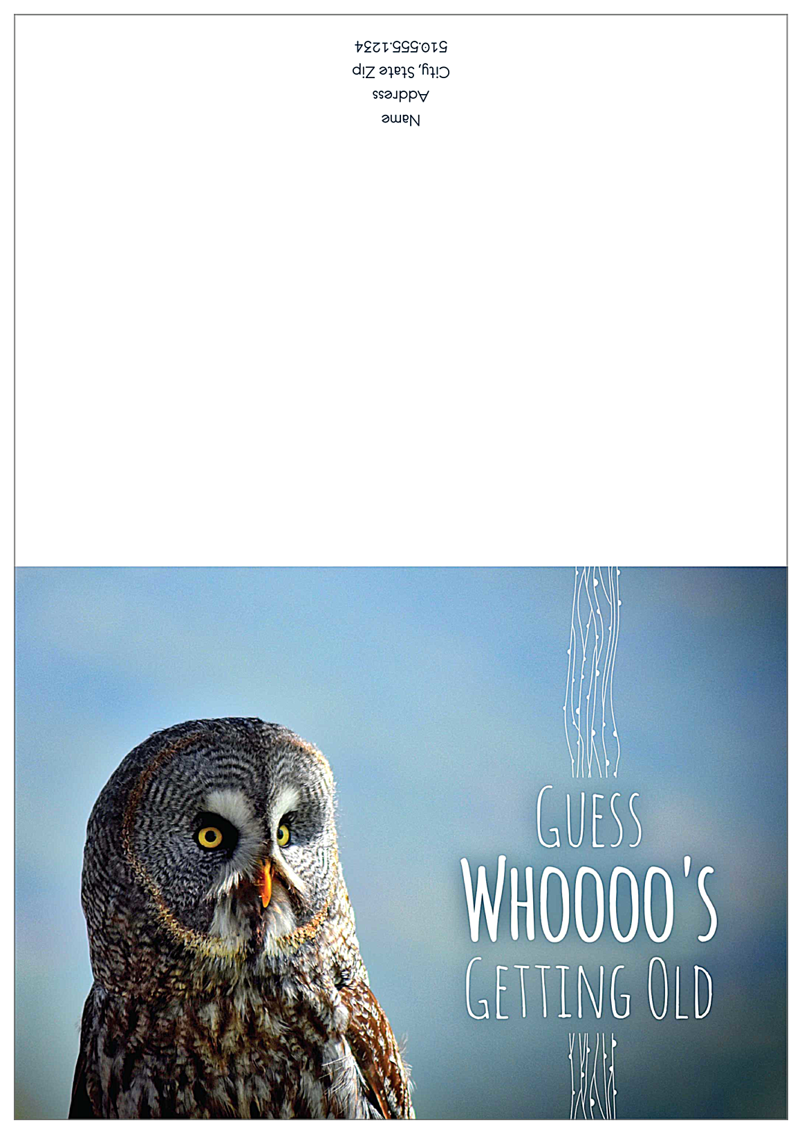 Birthday Owl front - Greeting Cards Maker