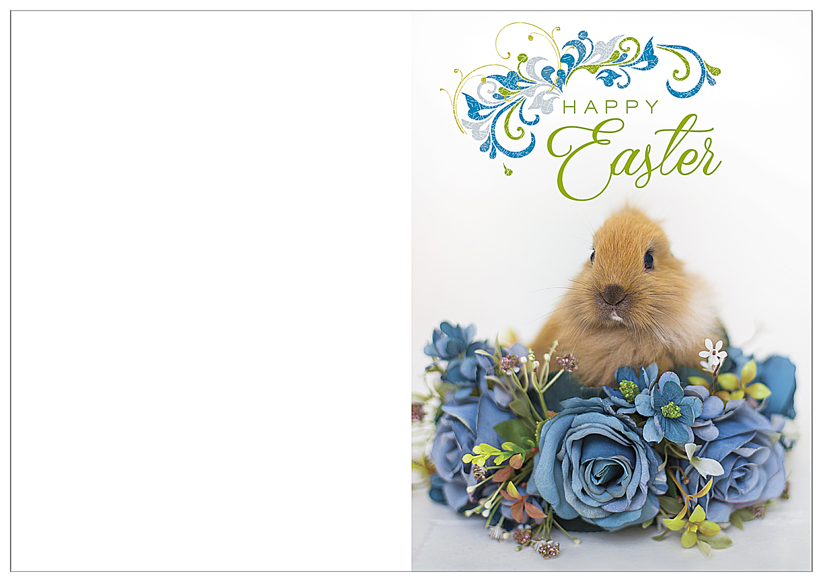 Easter Rabbit front - Greeting Cards Maker