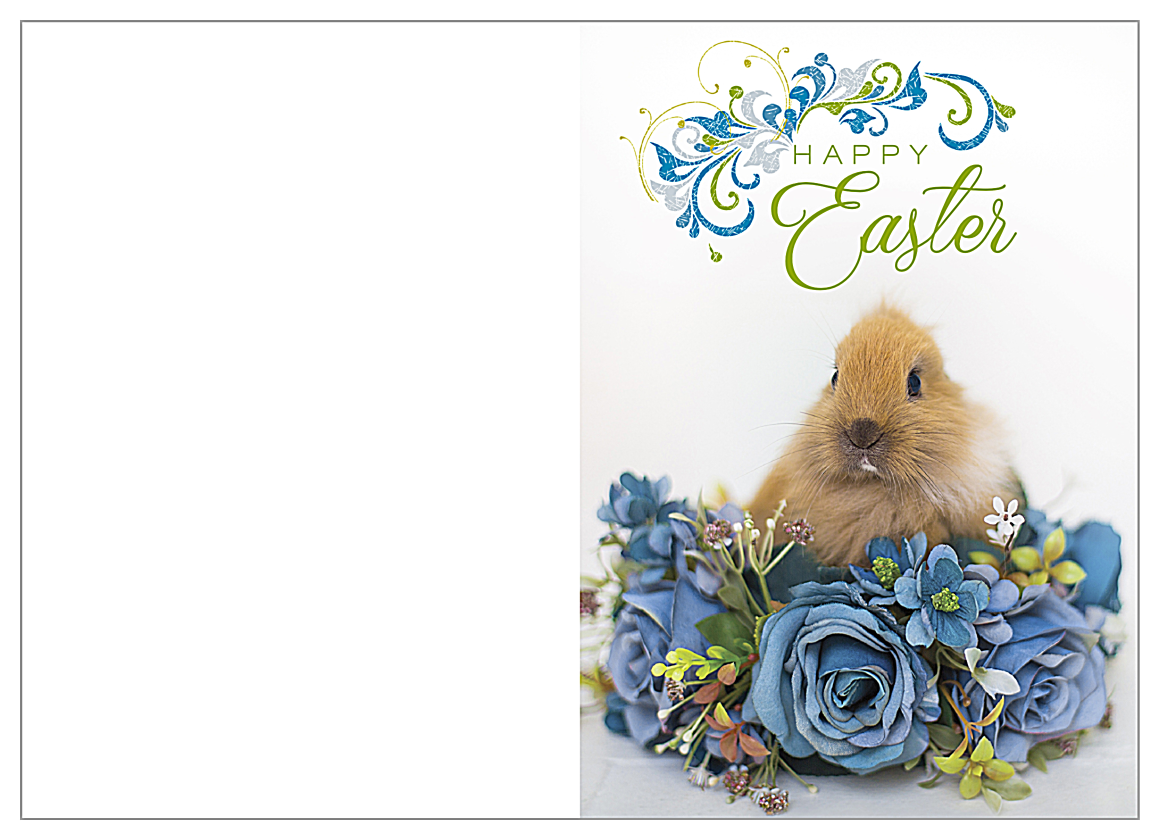 Easter Rabbit front - Greeting Cards Maker