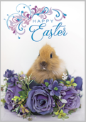 Easter Rabbit - greeting-cards Maker
