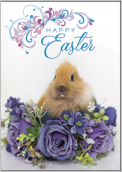 Easter Rabbit - greeting-cards Maker