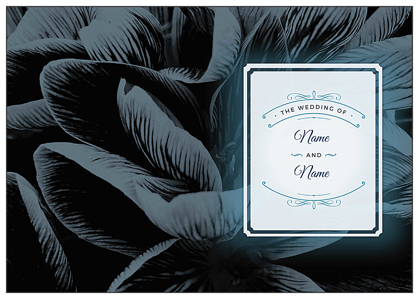 Lily Scrolls front - Greeting Cards Maker