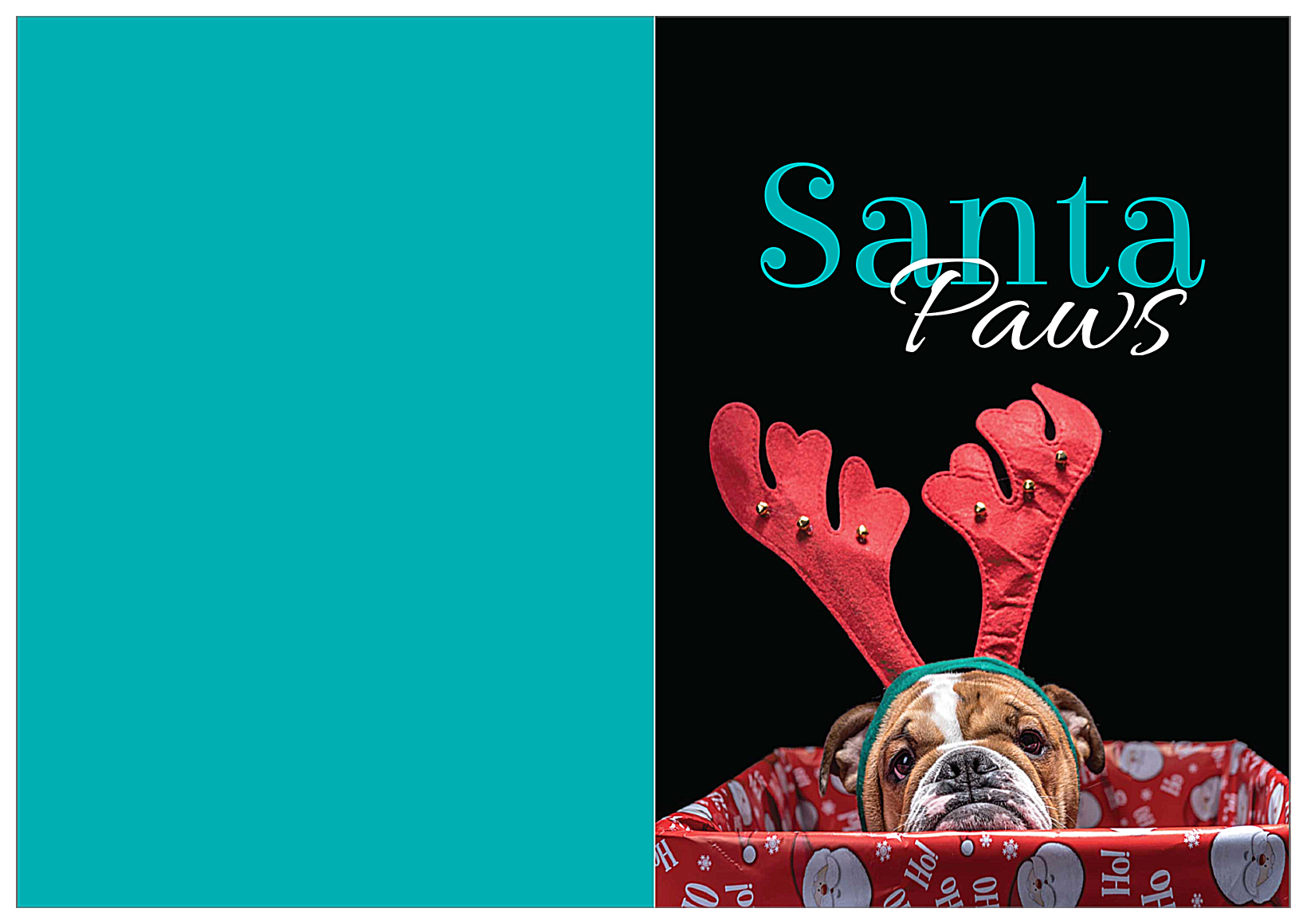 Doggy Antlers front - Greeting Cards Maker