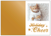 Comfort and Cheer - greeting-cards Maker