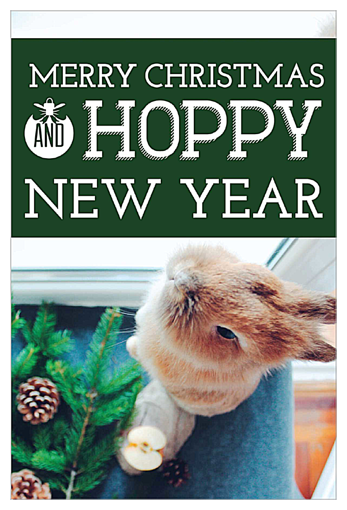 Hoppy Happy Holiday front - Invitation Cards Maker