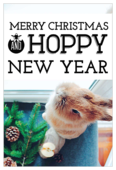 Hoppy Happy Holiday - invitation-cards Maker