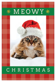 Meowy Christmas - invitation-cards Maker