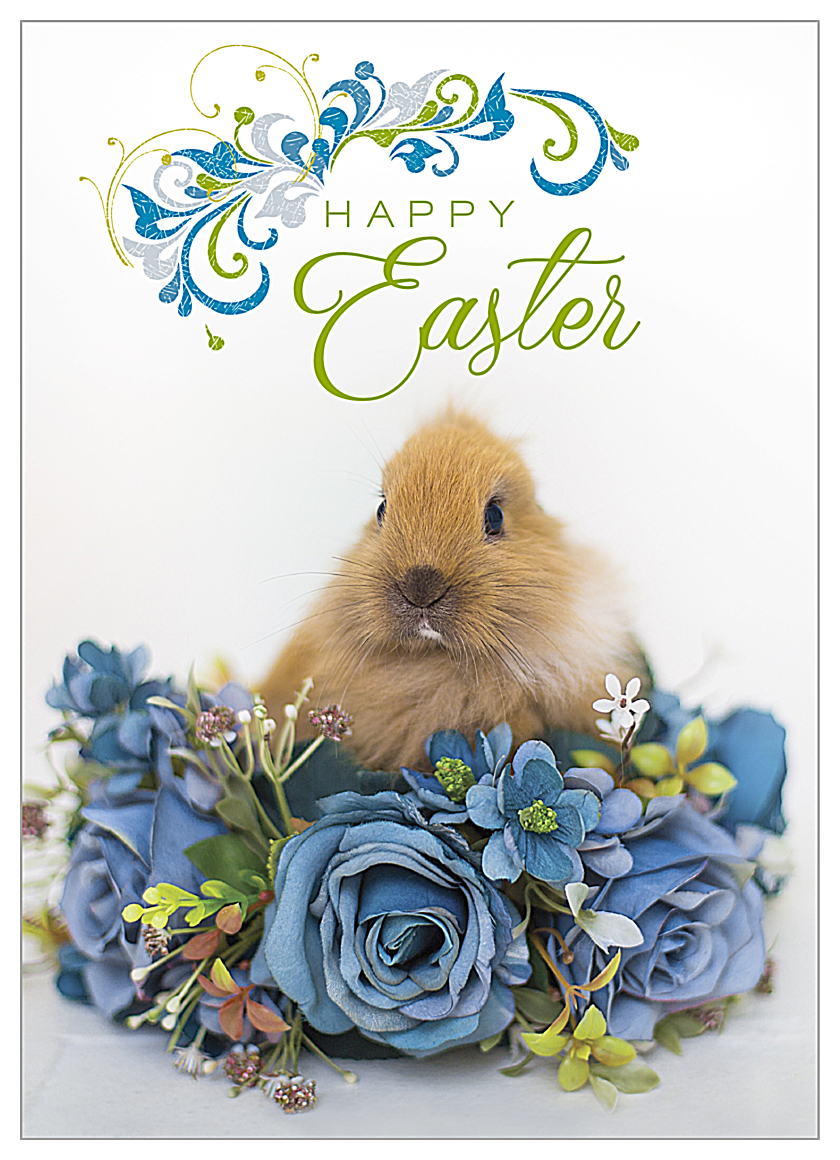 Easter Rabbit front - Invitation Cards Maker