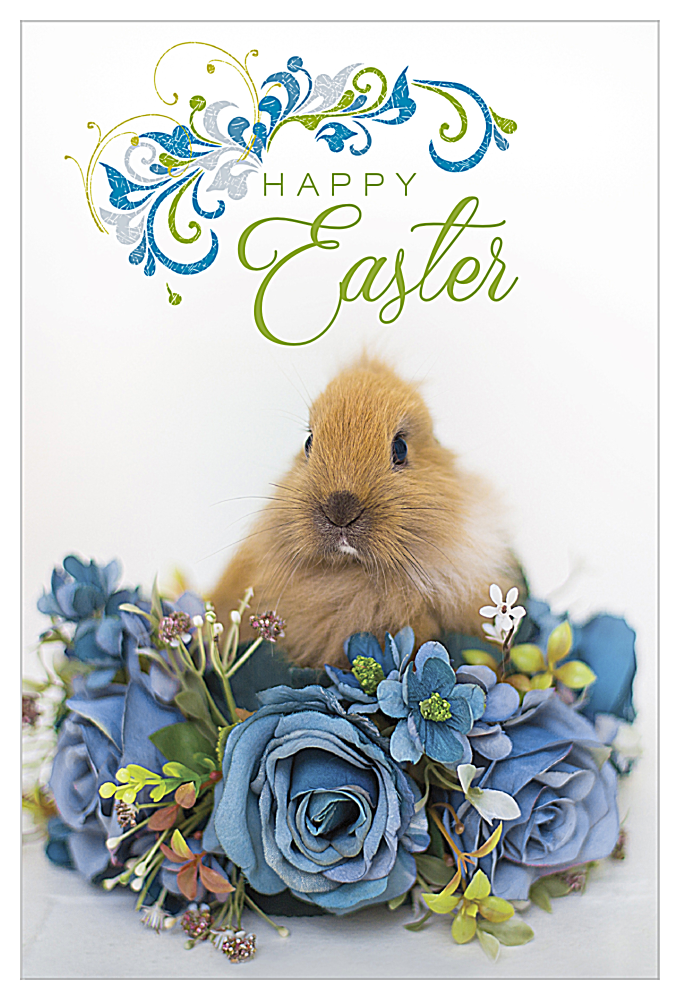 Easter Rabbit front - Invitation Cards Maker