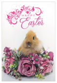 Easter Rabbit - invitation-cards Maker