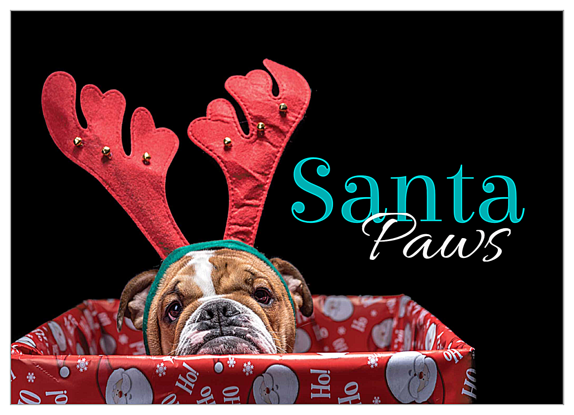 Doggy Antlers front - Invitation Cards Maker