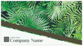 Palm Leaves - postcards Maker