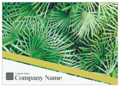 Palm Leaves - ultra-postcards Maker