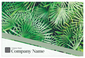 Palm Leaves - ultra-postcards Maker